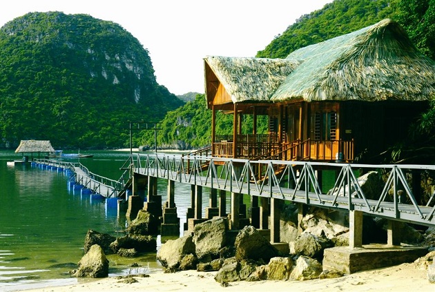 Nên ở khách sạn nào khi du lịch Cát Bà?