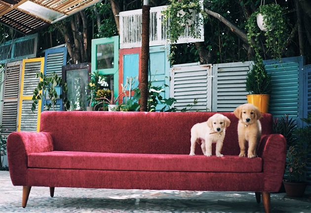 Điểm danh 3 hostel giới trẻ check – in nhiều nhất tại Nha Trang