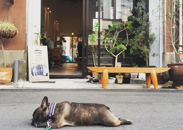 Nên ở khách sạn nào khi du lịch Tokyo?