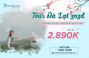 Tour Đà Lạt Tết Dương Lịch 2023
